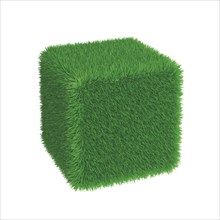 Cube covered with grass