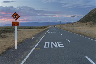 Warning sign 'Caution Penguins' on a coastal road at dusk