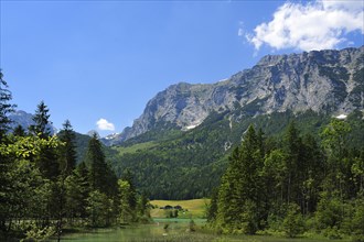 Reiter Alps