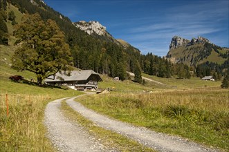 Dirt road leading to a mountain farm