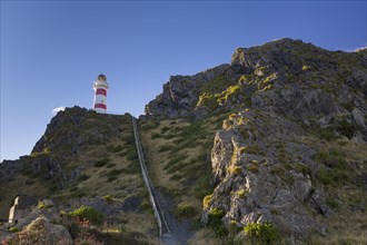Stairs to the Cape Palliser Lighthouse