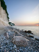 Chalk cliffs at sunrise