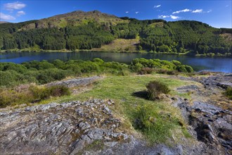 Loch Trool in the Galloway Forest Park