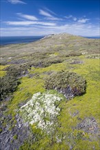 View of Westpoint Island