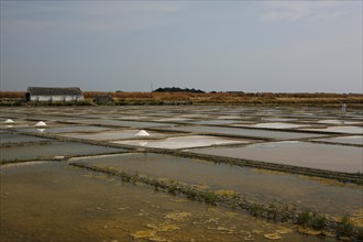 Salt farm