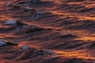 Bow waves in the evening light