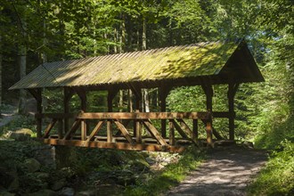 Bridge across the Grobbach creek near Geroldsauer Wasserfall waterfall