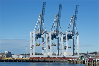 Loading cranes in the port of Auckland seen from the Central Business District