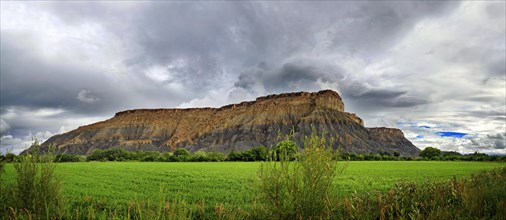 Green fertile valley with the South Caineville Mesa after a thunderstorm