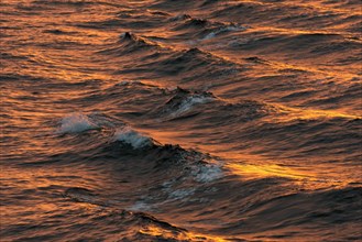 Bow waves in the evening light