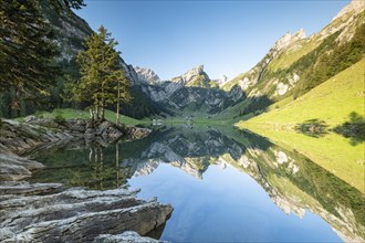 Mountains reflected at sunrise in Lake Seealpsee