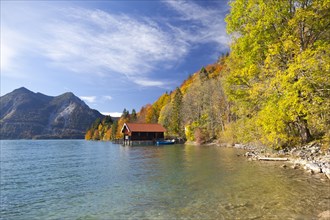 Walchensee Lake or Lake Walchen in autumn
