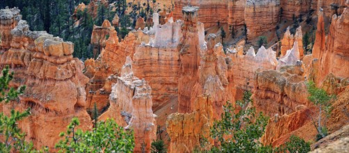 View from Rim Trail into the Queens Garden of Bryce Canyon