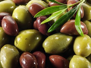 Mixed green & kalamata olives