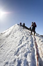 Mountain climbers on the summit ridge of Niederjochferner Mountain