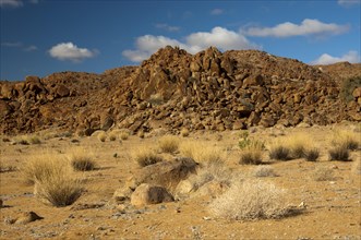 Desert landscape with the heavily eroded Granitberg Mountain in Richtersveld Transfrontier National Park