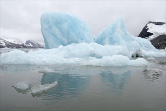 Iceberg reflections on cloudy day in the waters of Samarinvagen Bay in Hornsund