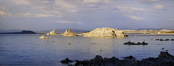 Tufa formations on Sees Mono Lake in the evening light