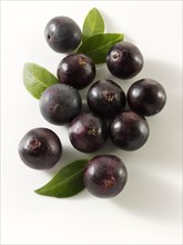 Fresh whole Acai berries (Euterpe oleracea)