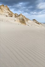 Dune with beachgrass