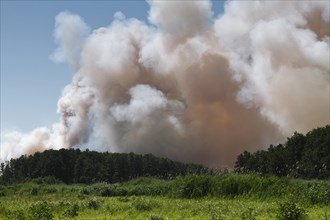 Fire on a grain field near Tutow