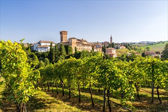 Vineyards in front of the Castello di Levizzano Rangone