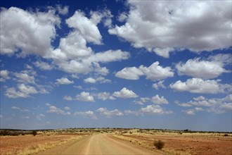 Track in a desert landscape