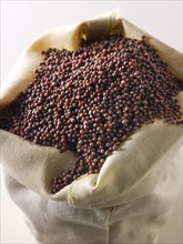 Black mustard seeds