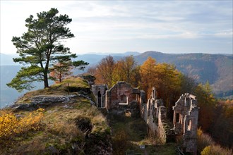 Ruins of Neuscharfeneck Castle in autumn