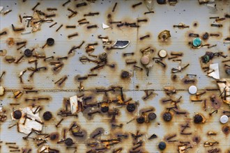 Remnants of rusted tacks and staples on a board