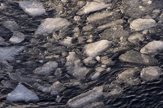 Ice floes