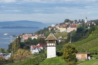 Historic Rebgut Haltnau vineyard on Lake Constance