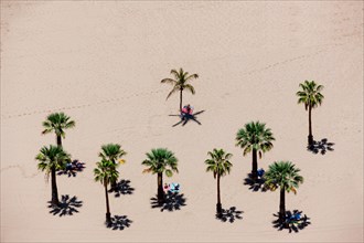 The sandy beach of Playa de las Teresitas with palm trees