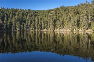 Reflection of the forest in Mummelsee Lake