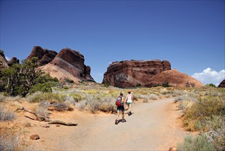 Hikers on a trail in Devil's Garden with sandstone cliffs formed by erosion