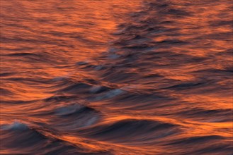 Bow waves in the evening light