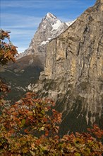 Summit of Eiger Mountain in autumn