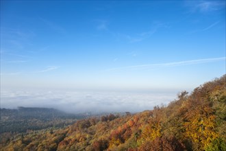 View from Hohenbaden Castle towards the Rhine valley in autumn
