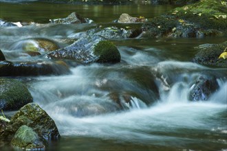 Grobbach creek near Geroldsauer Wasserfall waterfall