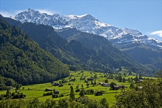 Summer mountain landscape with the Glarus Alps at back