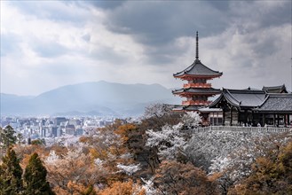 Pagoda and Zuigudo-Hall of the Kiyomizu-dera Temple to Cherry Blossom