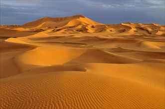 Sand dunes in evening light