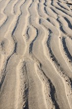 Sand grooves caused by the River Elbe