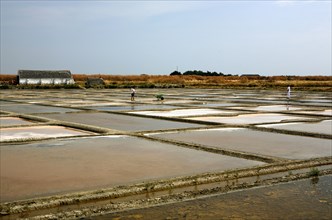 Salt farm