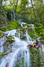 Guetenstein Waterfalls in autumn