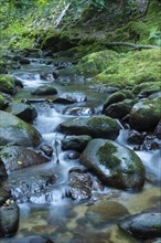 Grobbach creek near Geroldsauer Wasserfall waterfall