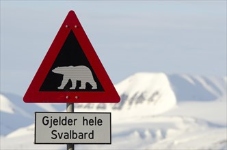 Polar bear warning sign