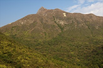 Scrubland with Sharp Peak mountain range