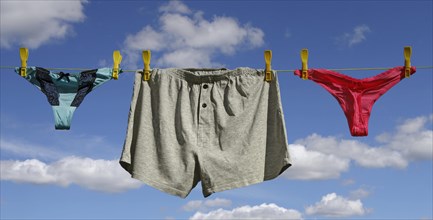 Underwear hanging on a washing line