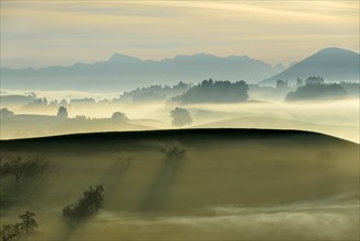 Autumn fog atmosphere in Swiss Plateau or Central Plateau